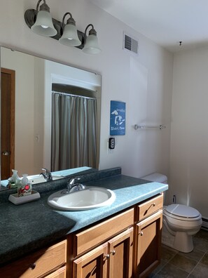 Combined shower/tub, hair dryer, towels, soap