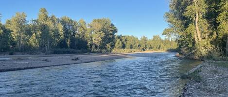 Ein Fluss mit steinigem Ufer und Bäumen im Hintergrund.