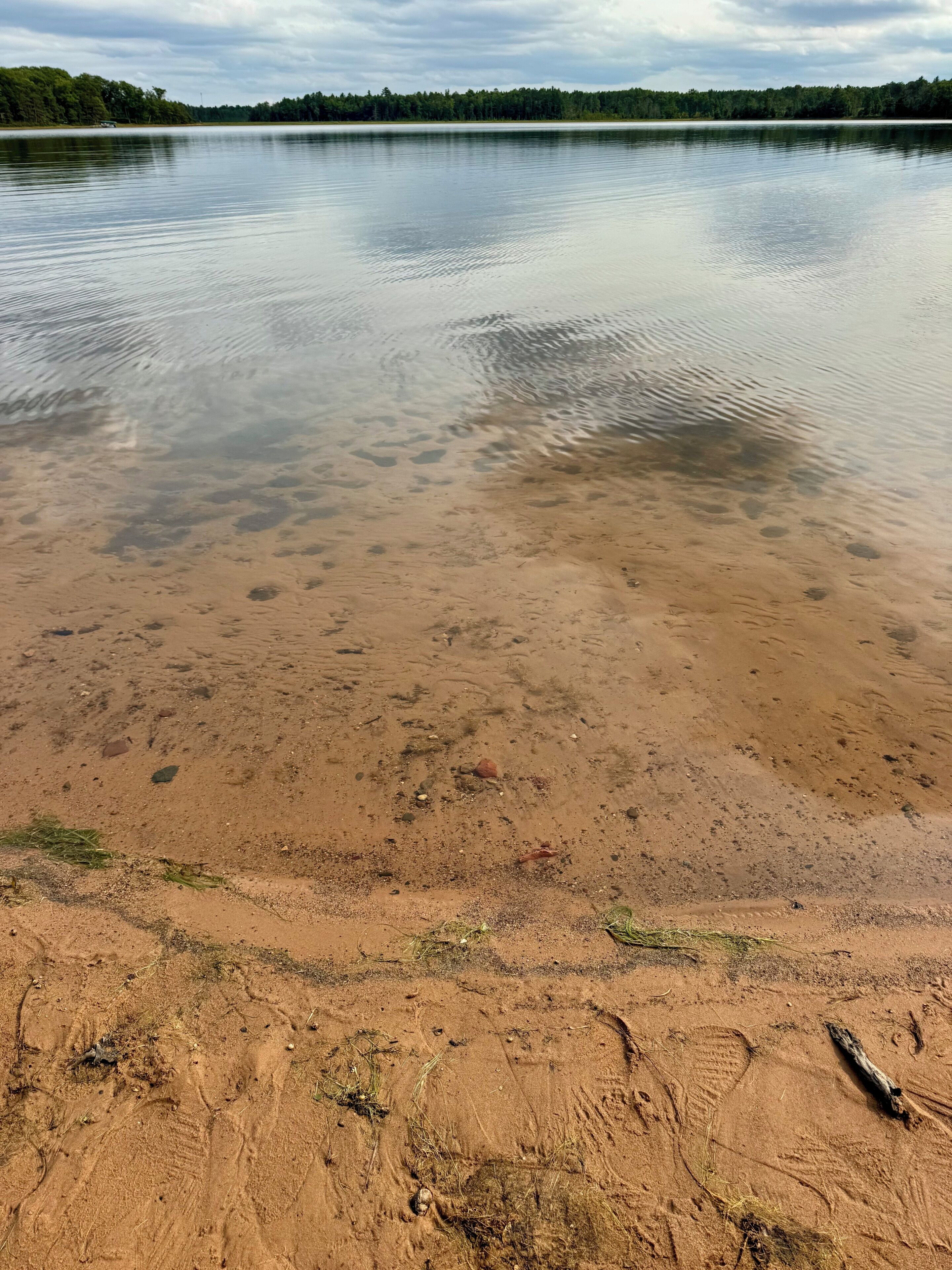 Une plage à l’eau claire, au sable fin et visible, avec une forêt qui se devine au loin.
