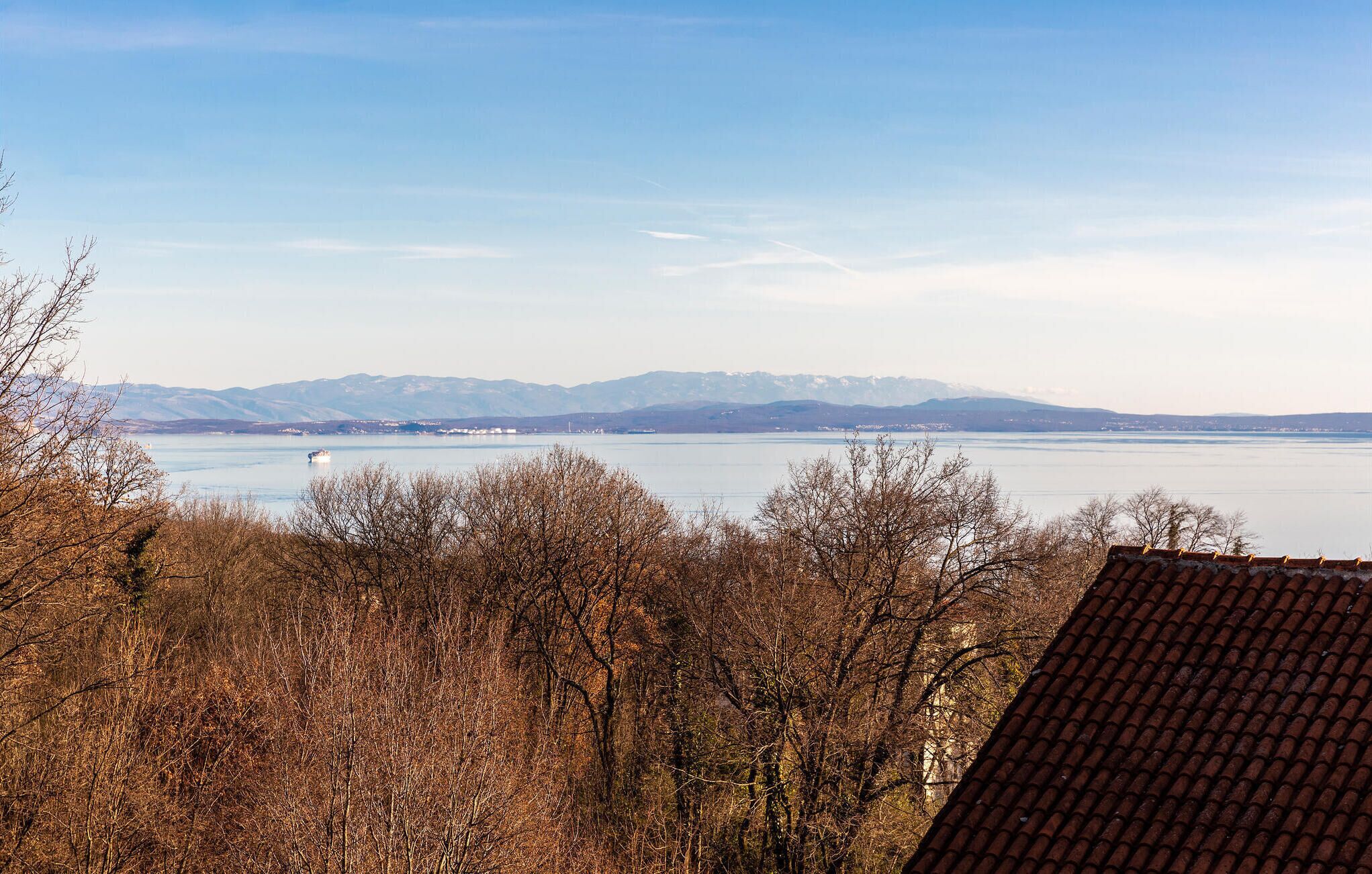 A view of a lake with mountains in the background, surrounded by leafless trees.