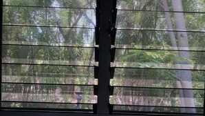 A window with multiple panes, each displaying a view of trees and foliage.