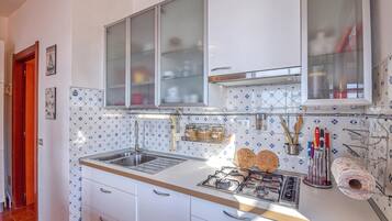 Fridge, stovetop, dishwasher