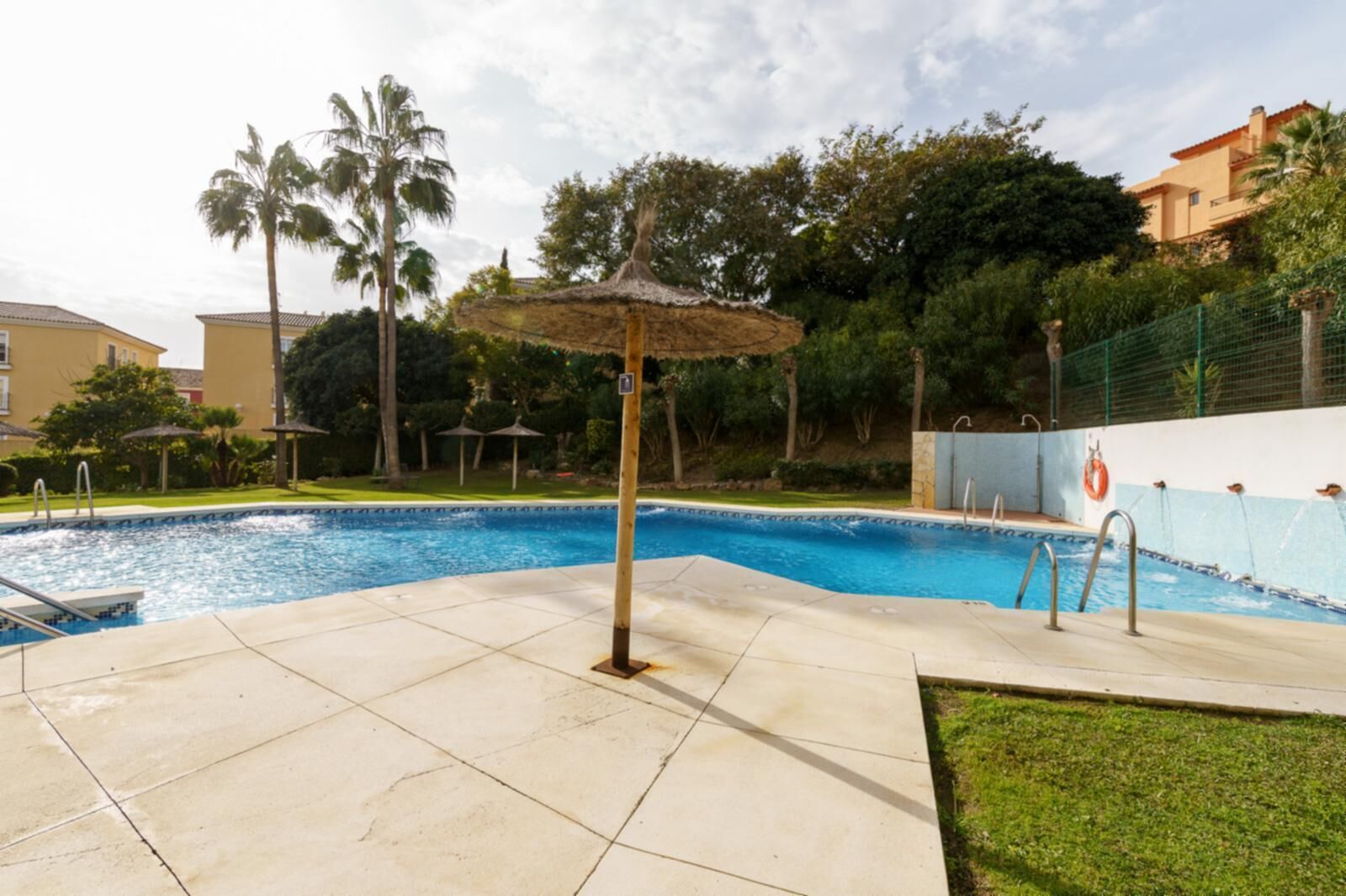 A swimming pool with a tiled deck, a lifebuoy, and a palm tree.