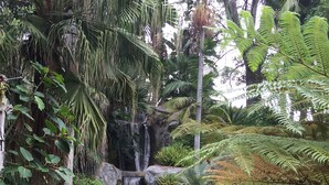 Ein üppiger Garten mit einem Wasserfall, dichtem Grün und einer Holzterrasse.
