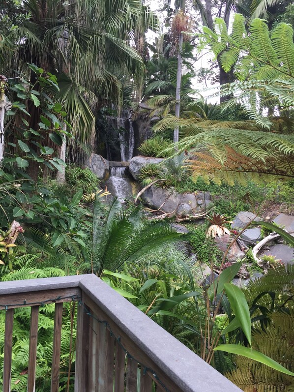 A lush garden with a waterfall, dense foliage, and a wooden deck.