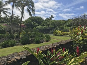 A landscaped garden with a variety of tropical plants, a stone retaining wall, and a well-maintained lawn.