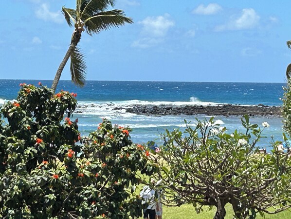 Camastros y toallas de playa 