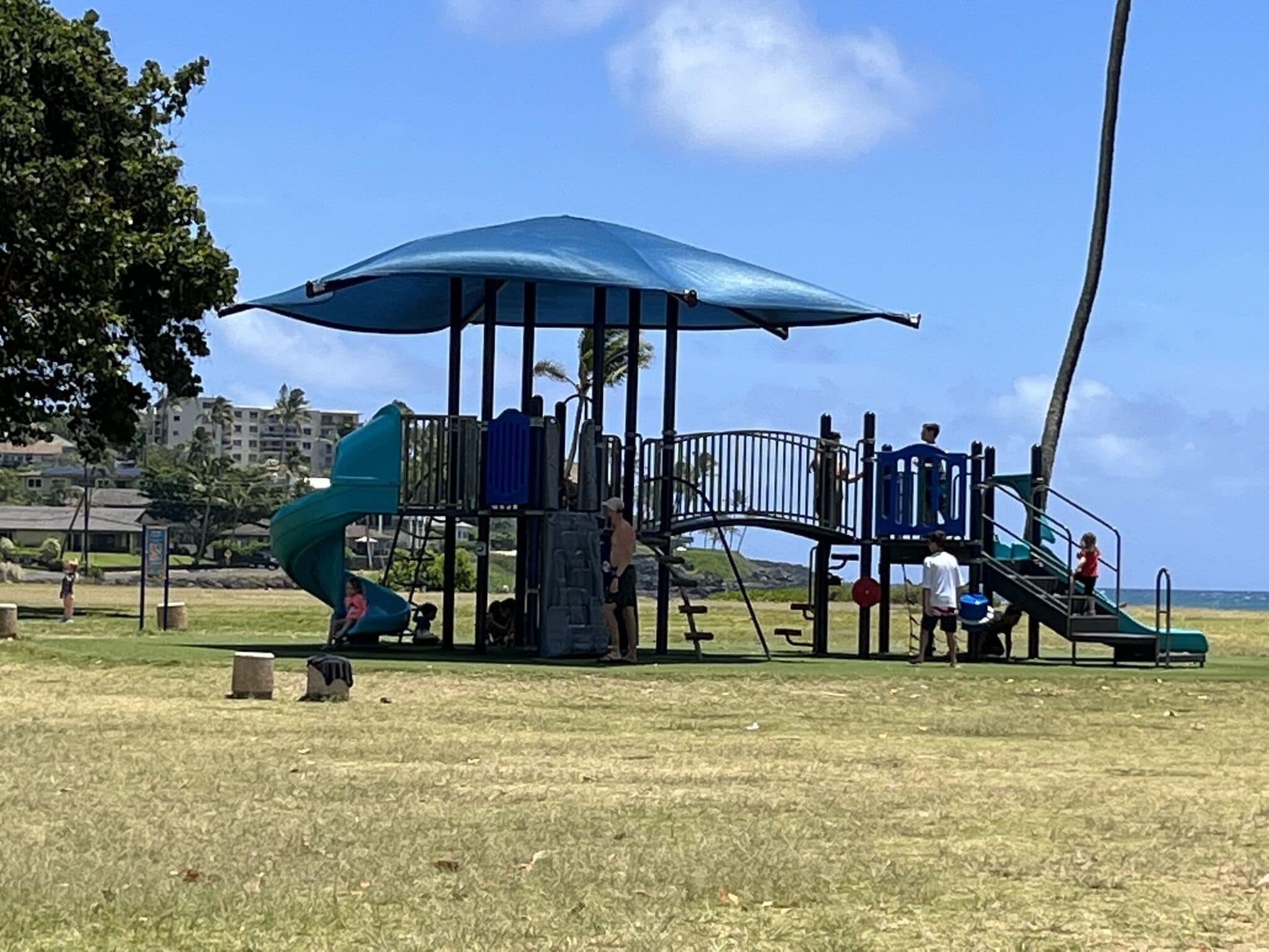 A playground with a slide and climbing structures, surrounded by grass and trees.