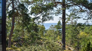 Une zone boisée offrant une vue sur la mer.