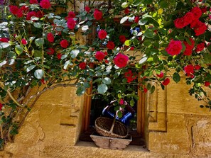 Exterior detail - 3  Luxury French Country Holiday Houses in Dordogne Valley (Saint-Cybranet)