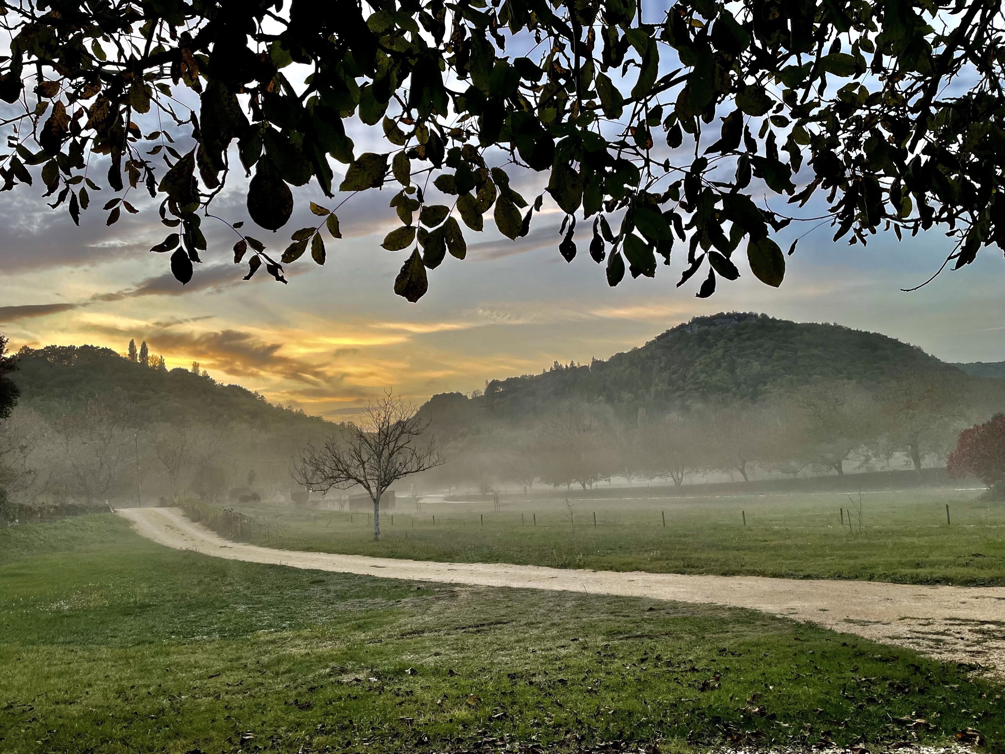 Ländliche Landschaft mit einem Feldweg, der durch ein grünes Feld führt, umgeben von Hügeln und Bäumen.