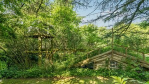 Un chalet rustique entouré d’une forêt dense.