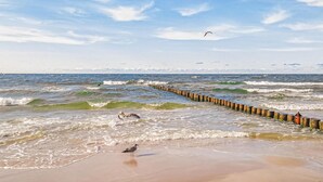 Una playa con olas, un rompeolas de madera y una gaviota en la arena.