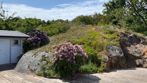 A wooden deck with a white building and purple flowers in the background.