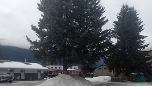 Un espace de stationnement dont le sol est recouvert de neige, un grand arbre et un bâtiment doté de nombreuses fenêtres et portes.