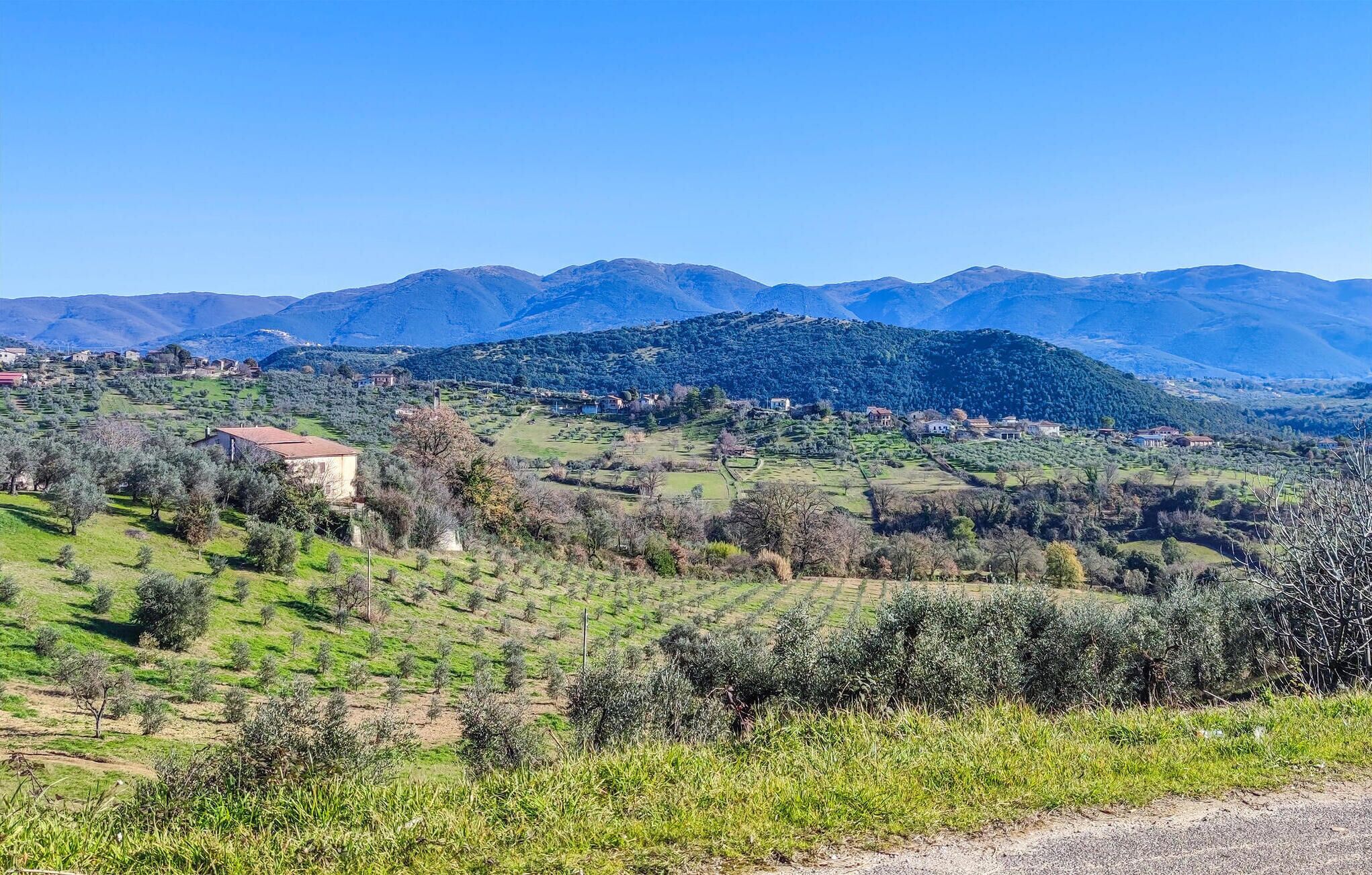 Paisatge rural amb turons suaus, cases disperses i oliveres.
