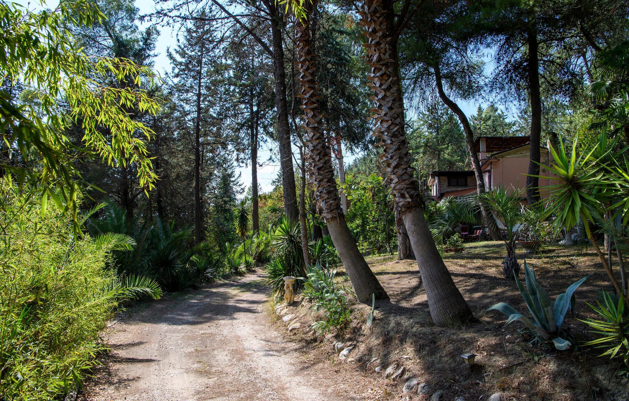 Parco della struttura