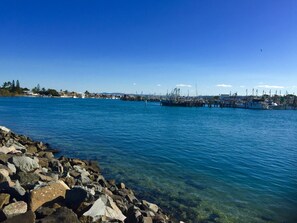 Beach nearby - Cabin in the dam paddock, 10 min to the beach. (Maroochy River)