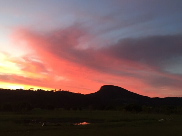 Golf - Cabin in the dam paddock, 10 min to the beach. (Maroochy River)