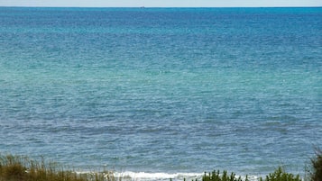 Playa en los alrededores y pesca