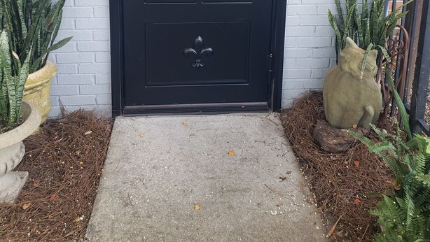 A black door with a decorative glass panel, a mailbox, and potted plants on either side. - Bon Aire Apartment is in downtown Mobile on the Mardi Gras Parade Route
 (Mobile)