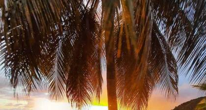 Agréable F2 tout confort aux Anses d'Arlet à Petite-Anse.