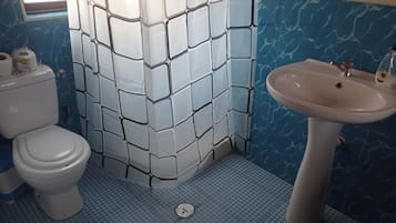 Ducha, toallas y papel higiénico