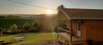 Whippoorwill Nest