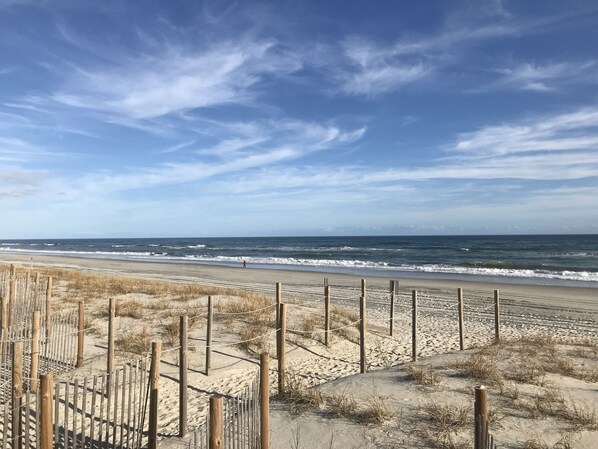 Nära stranden