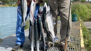 Deux personnes tenant plusieurs poissons sur un quai, au bord d’une étendue d’eau.