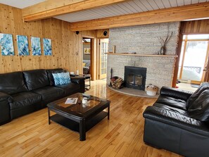 TV, fireplace, DVD player, books