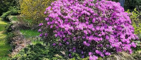 Área da propriedade