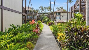 Un sentiero costeggiato da rigogliosa vegetazione tropicale e palme, che conduce a un edificio con balconi sotto un cielo azzurro intenso.