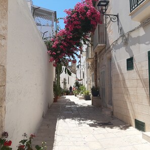 Enceinte de l’hébergement