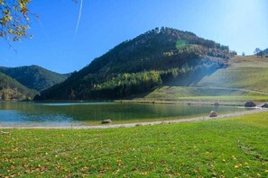 Luokittelematon kuva, 5 kautta 30, painike