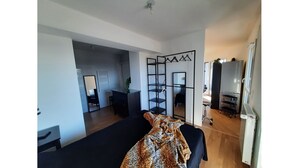 Ein modernes Wohnzimmer mit einer schwarzen Couch, einer Decke mit Leopardenmuster und einem schrankartigen Möbelstück mit Spiegeln.
