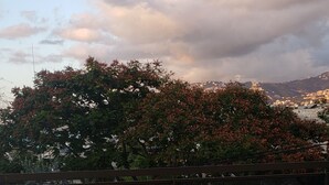 Un balcon doté d’un sol carrelé, d’un petit muret et offrant une vue sur un arbre aux fleurs rouges et un ciel nuageux.