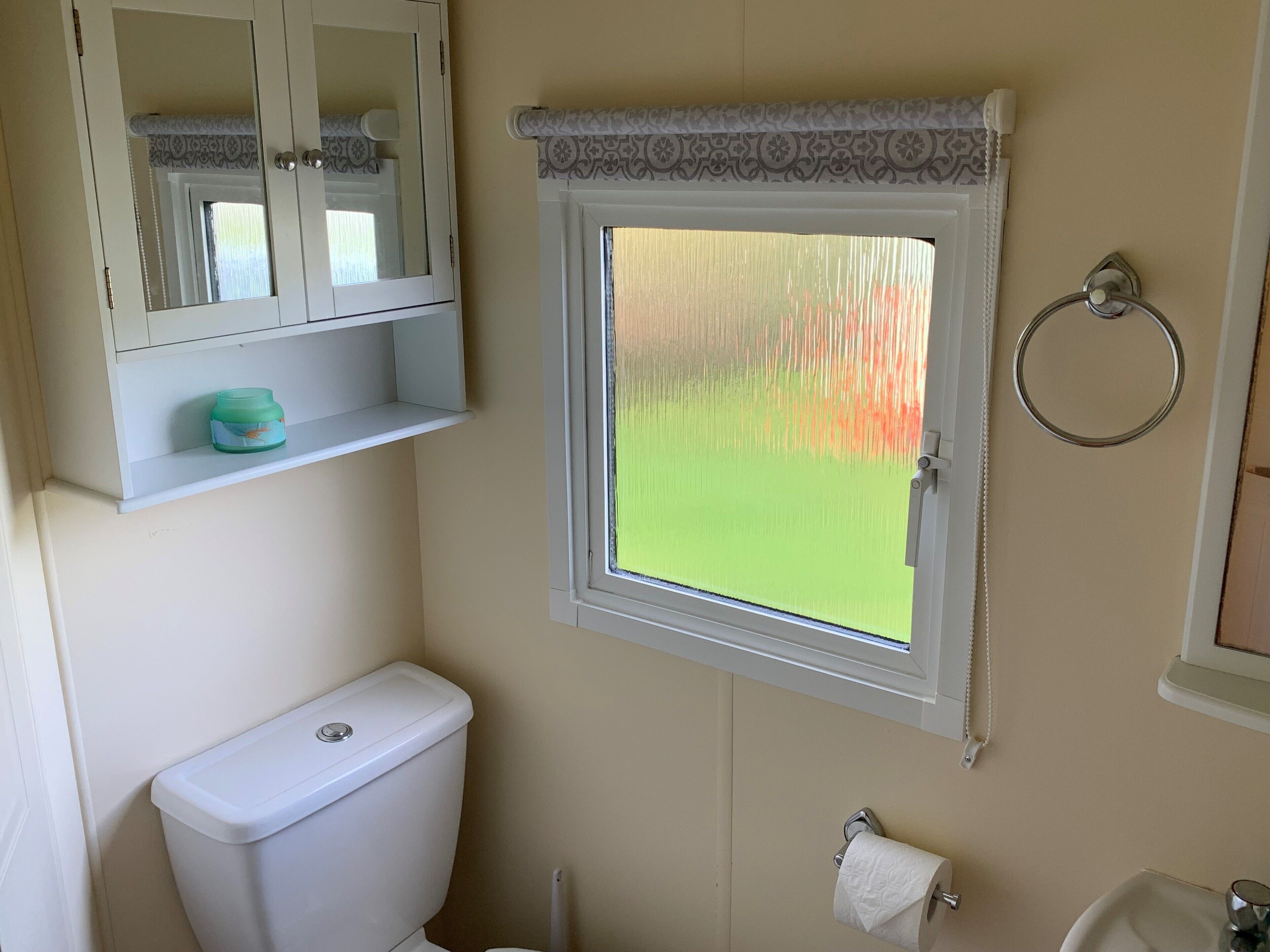 A bathroom with a toilet, a window with a view, a mirror, and a shelf with a container.