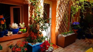 A courtyard with potted plants, a wooden bench, and a lattice structure.