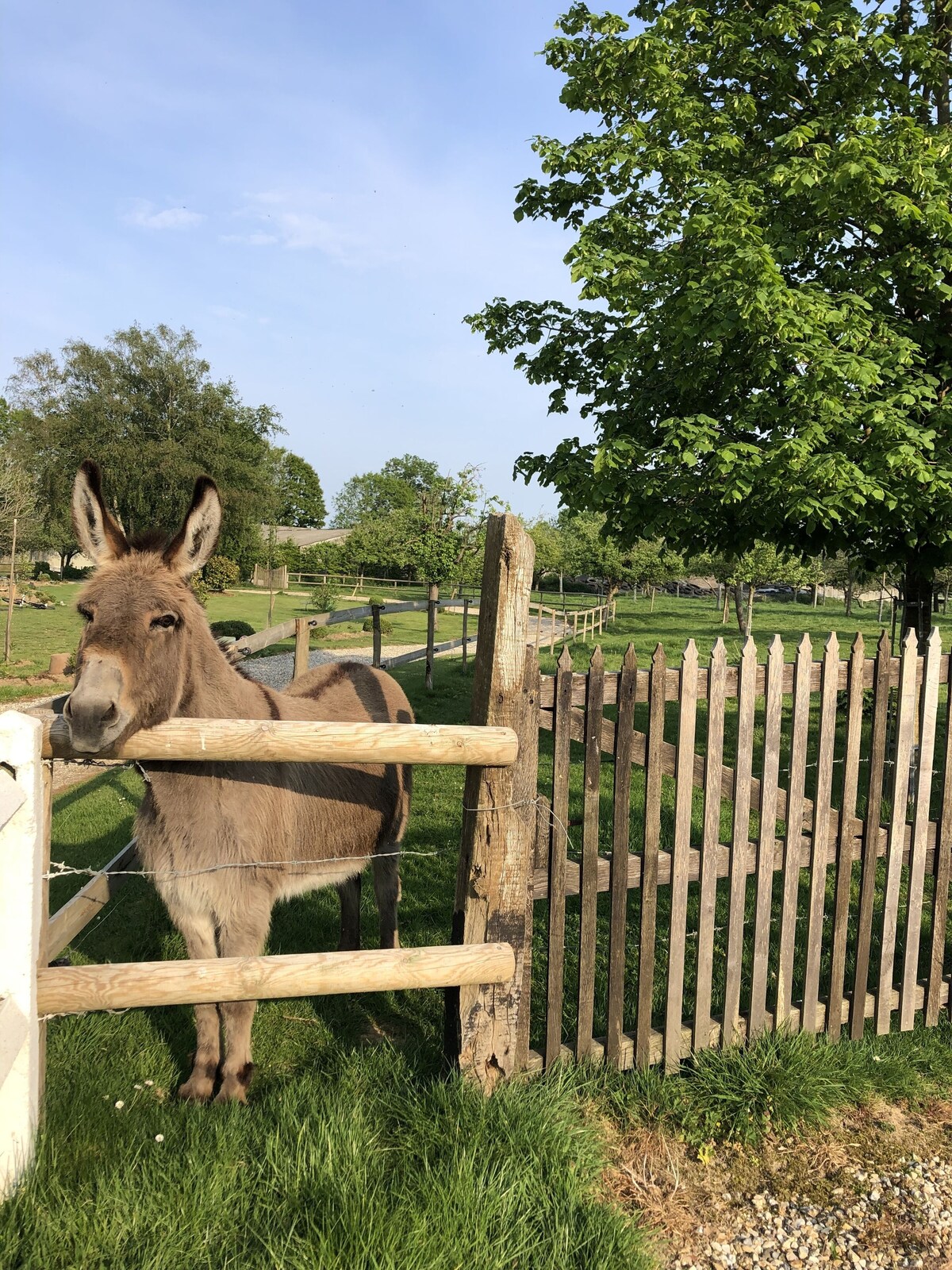 Image de profil de l’hôte