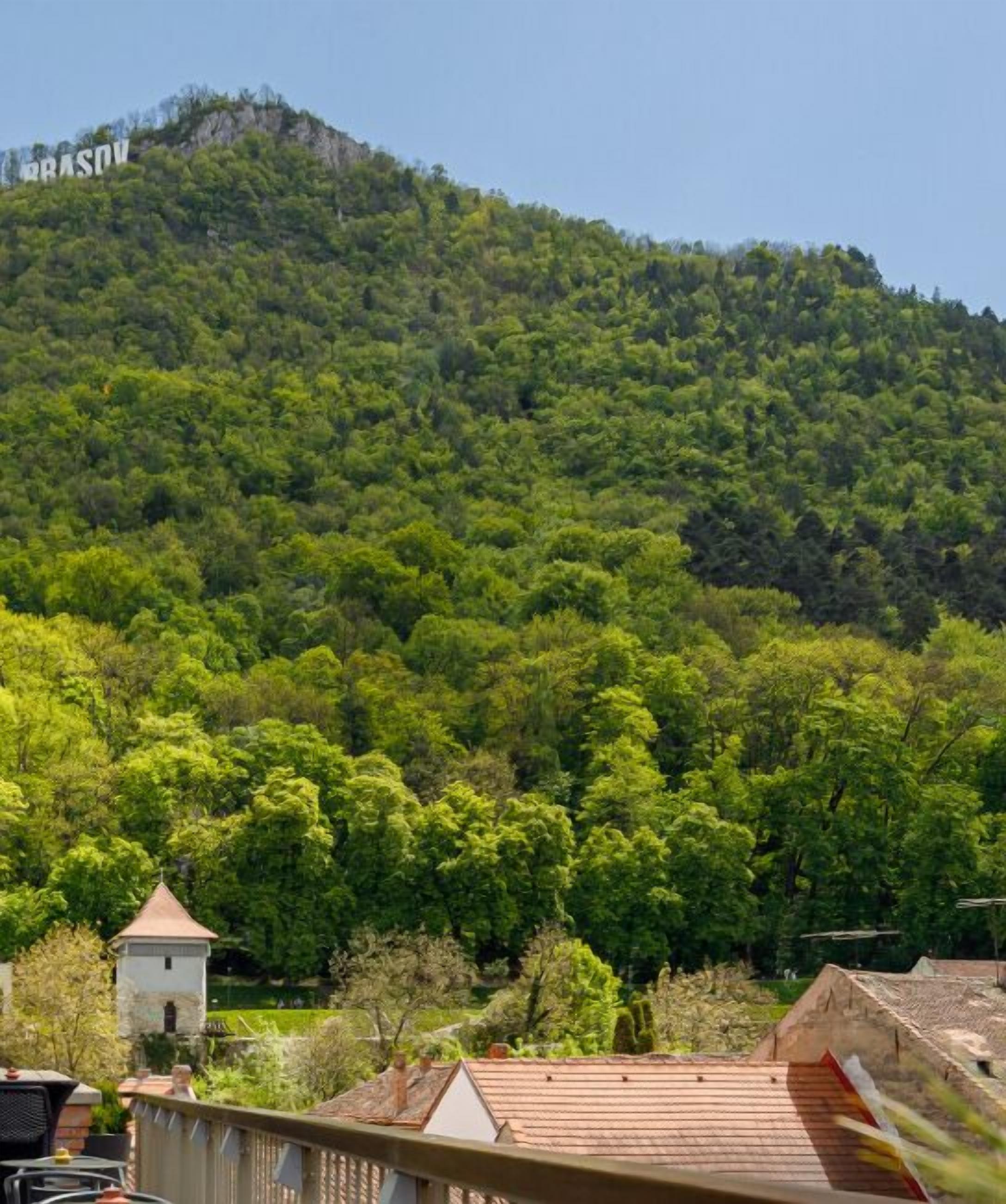 A mountainous landscape with dense green foliage.