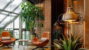 Un interior moderno con techo de vidrio, pared de ladrillo, sillas naranjas, una mesa redonda y una planta colgante.