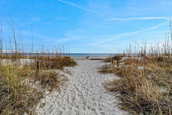 A sandy beach path leading to the ocean with tall grasses on either side.