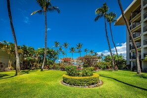 Property grounds - Kihei Akahi #C-106 Updated Ground Floor Unit Across from Kam Beach ll (Kihei)