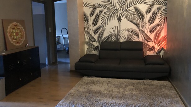 A living room with a dark sofa, a patterned wall, and a fluffy rug. - Large F2 in private residence (Ajaccio)