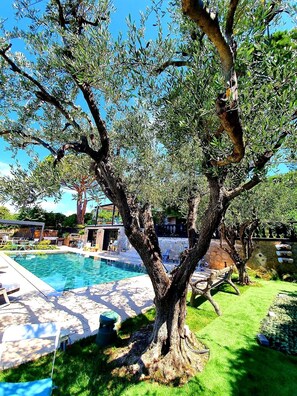 Outdoor pool, a heated pool