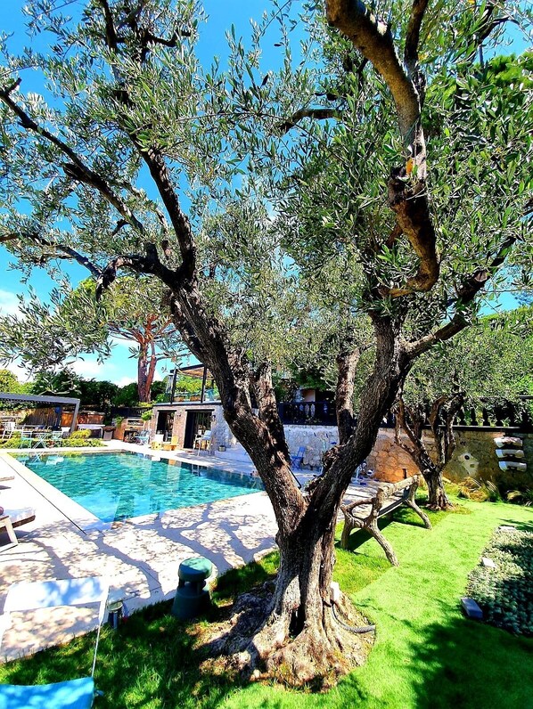 Piscine extérieure, piscine chauffée