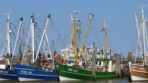 A harbor with multiple fishing boats docked, featuring names and registration numbers.