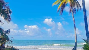 Una spiaggia nelle vicinanze