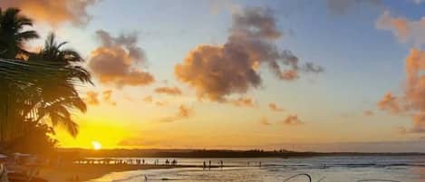 Plage à proximité